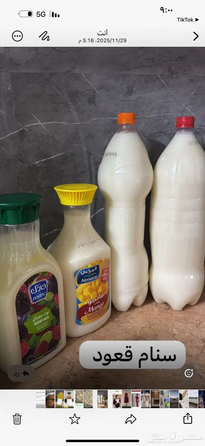 سنام الجمل   خاثر الضان 0