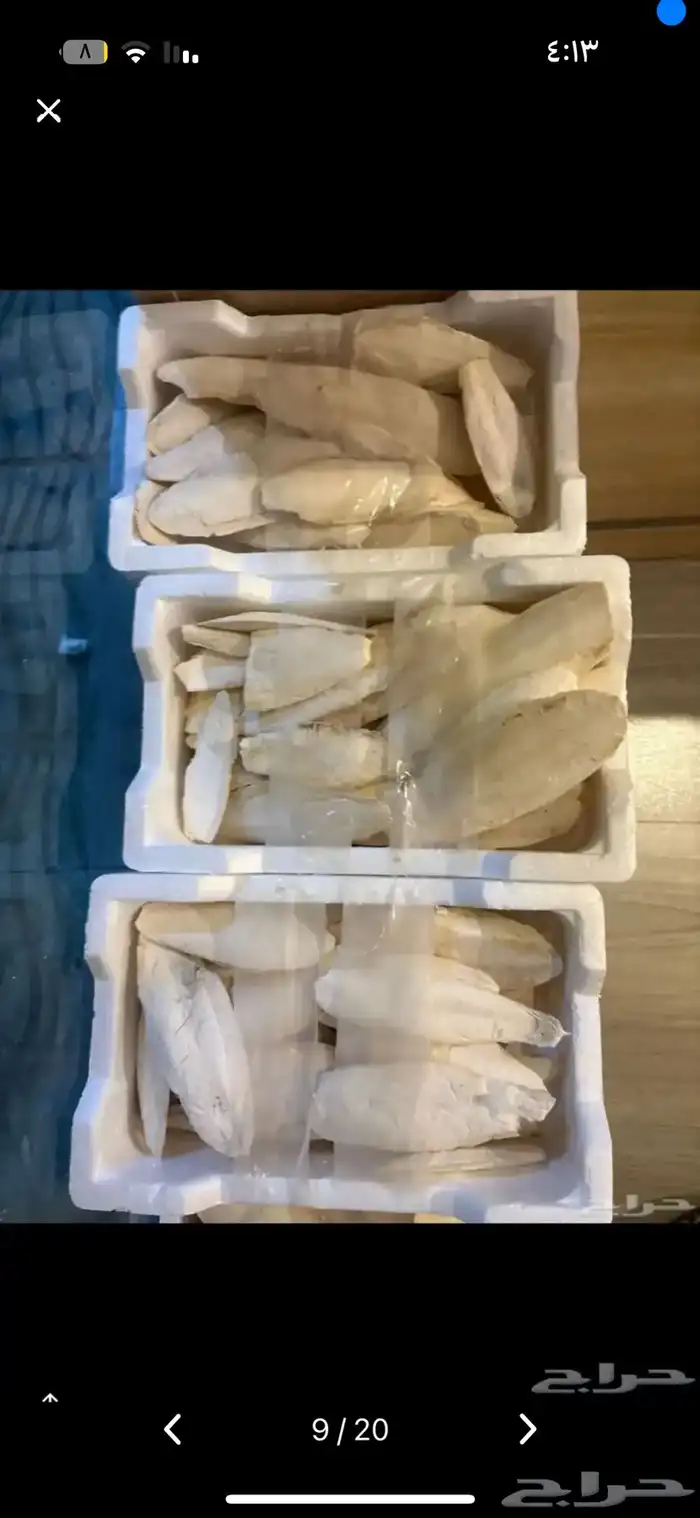 مستلزمات طيور وقطط اسعار 10