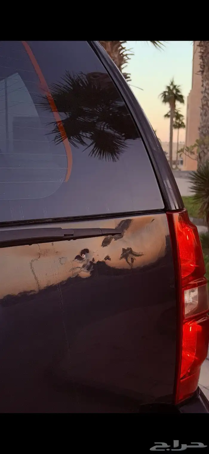 سوبر بان 2013 LT 26