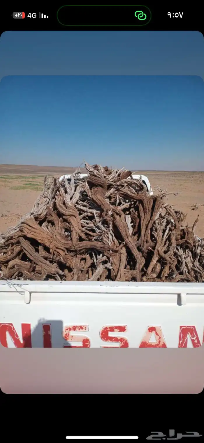 صندوق ددسن و شاص 0