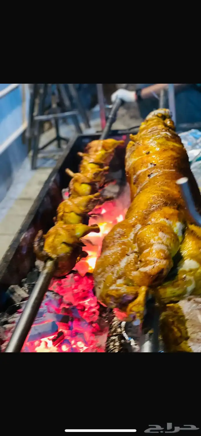 خروف الشيف الذهبي 5