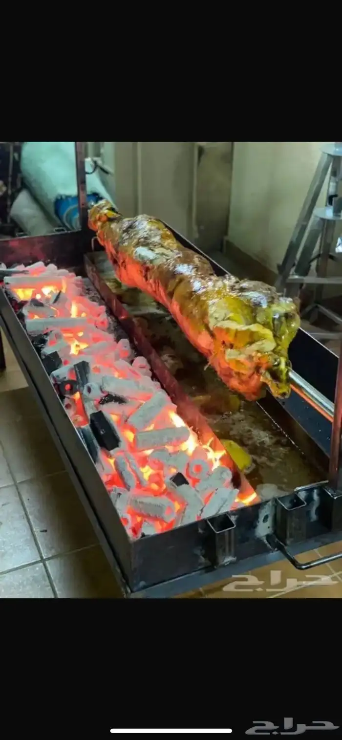 خروف الشيف الذهبي 4