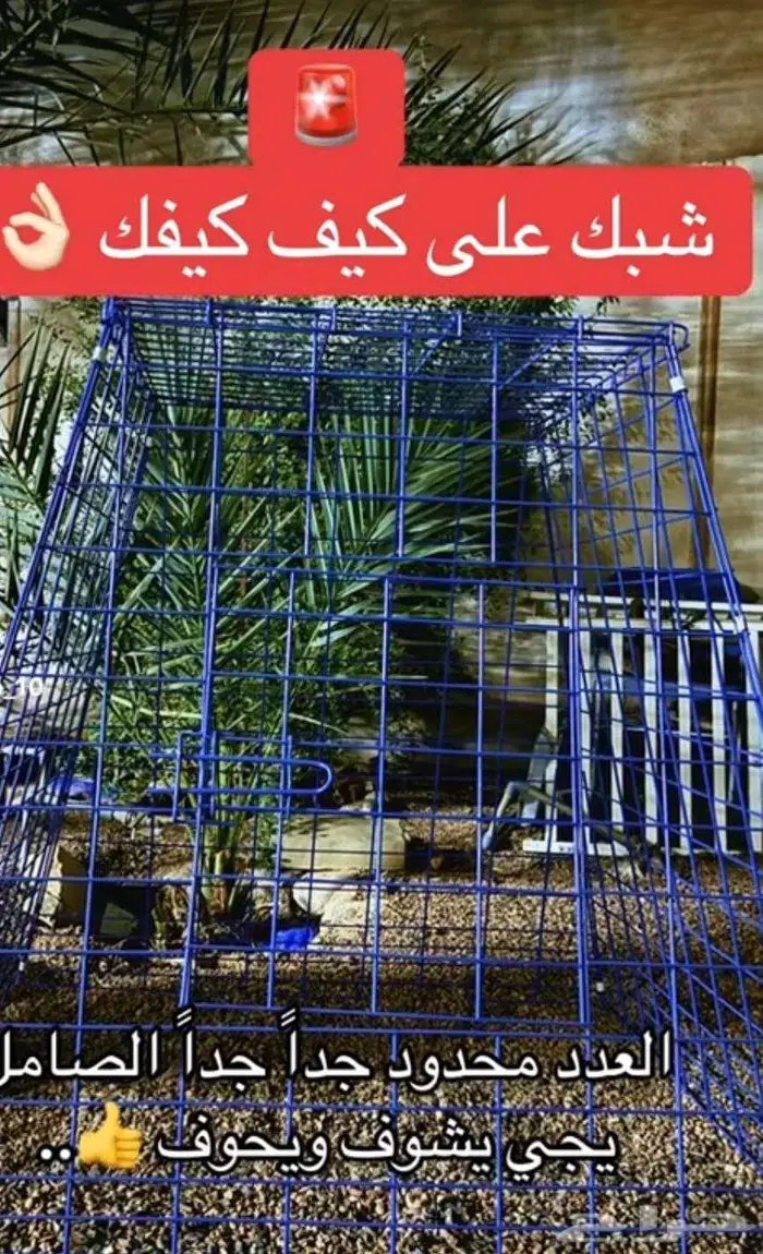 قفص الدجاج 1