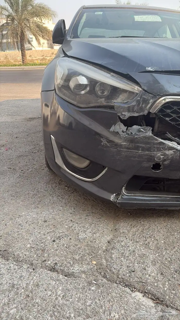 كدنزا للبيع 2016 3