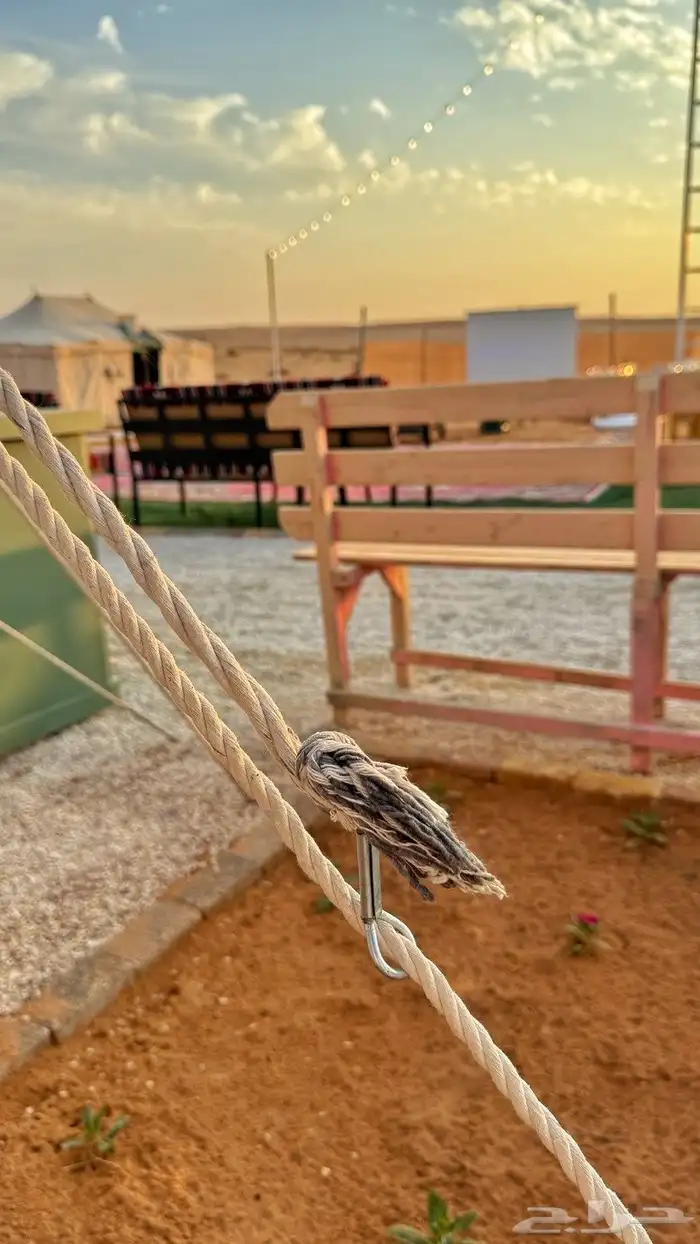 مخيم ام شجرة بنفود الزلفي للايجار اليومي 14