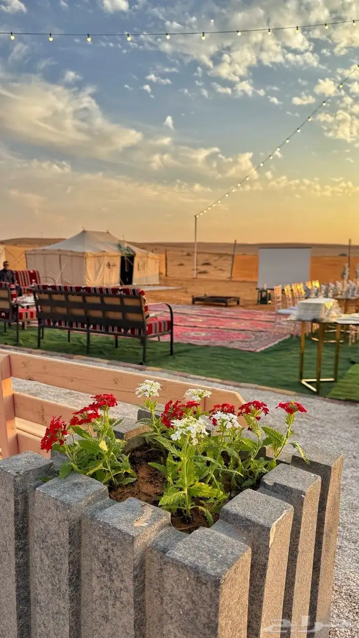 مخيم ام شجرة بنفود الزلفي للايجار اليومي 13