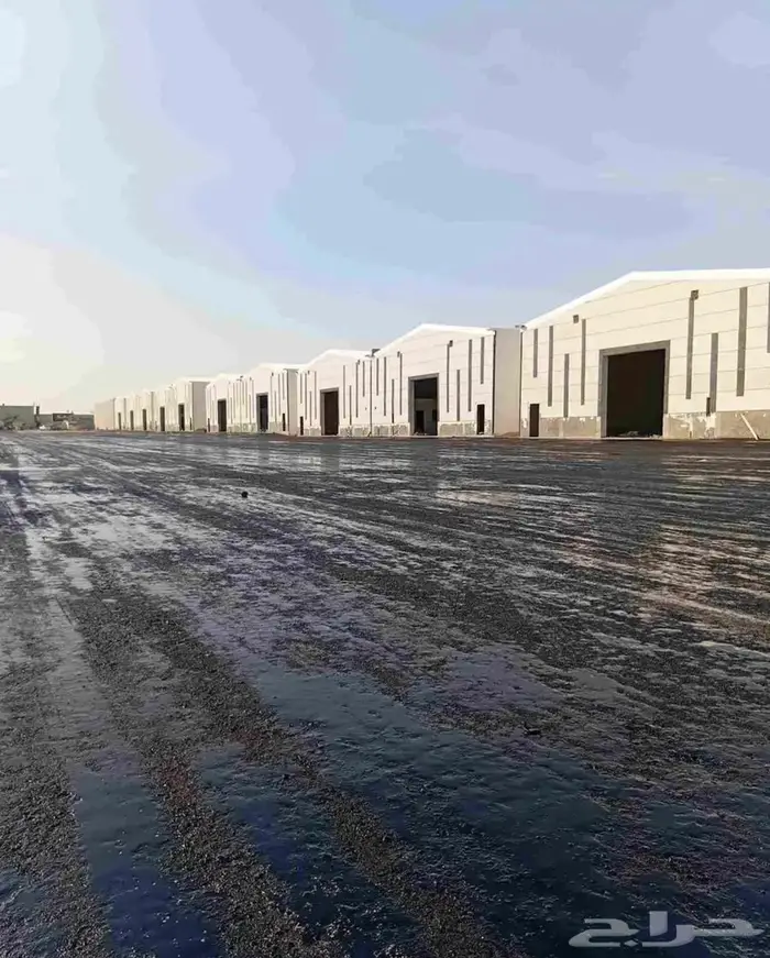 وايت مادة ام سي ون 2