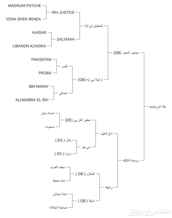 مهره واهو للبيع العمر 11 شهور بالحد 4500 3