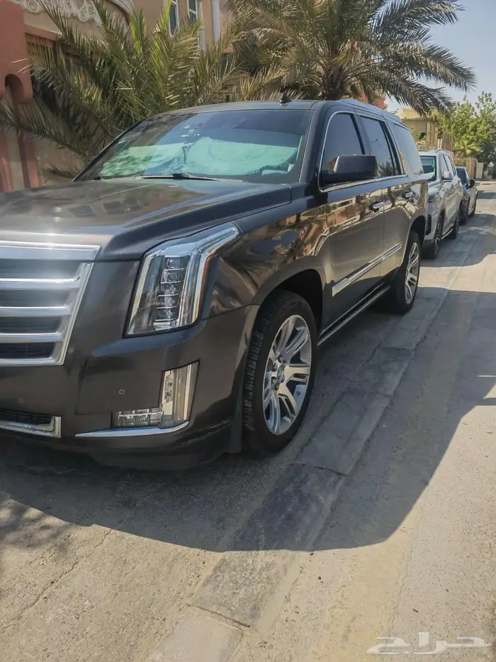 كاديلاك اسكاليد 2015 11