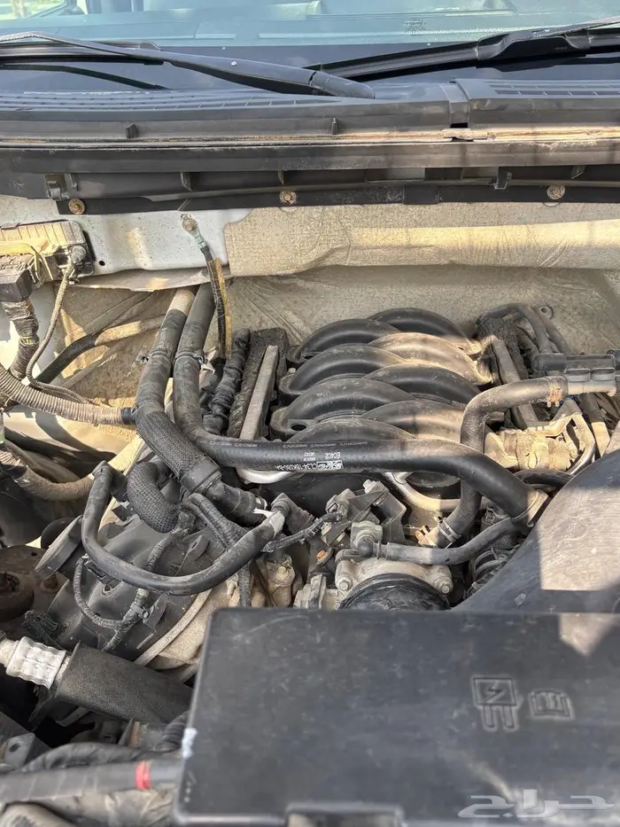 فورد f150 موديل 2013 بدون دبل 8 سلندر ابيض 11