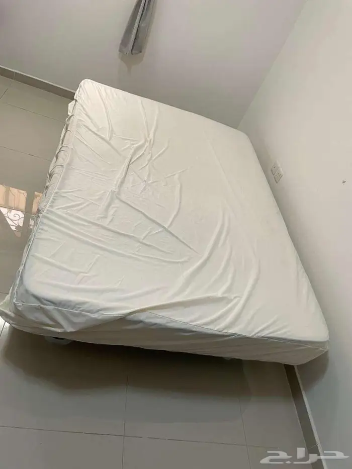 الراكة الجنوبية 8