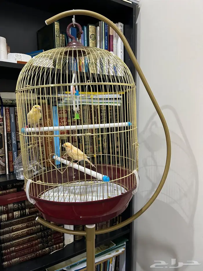 قفص طيور للبيع 0