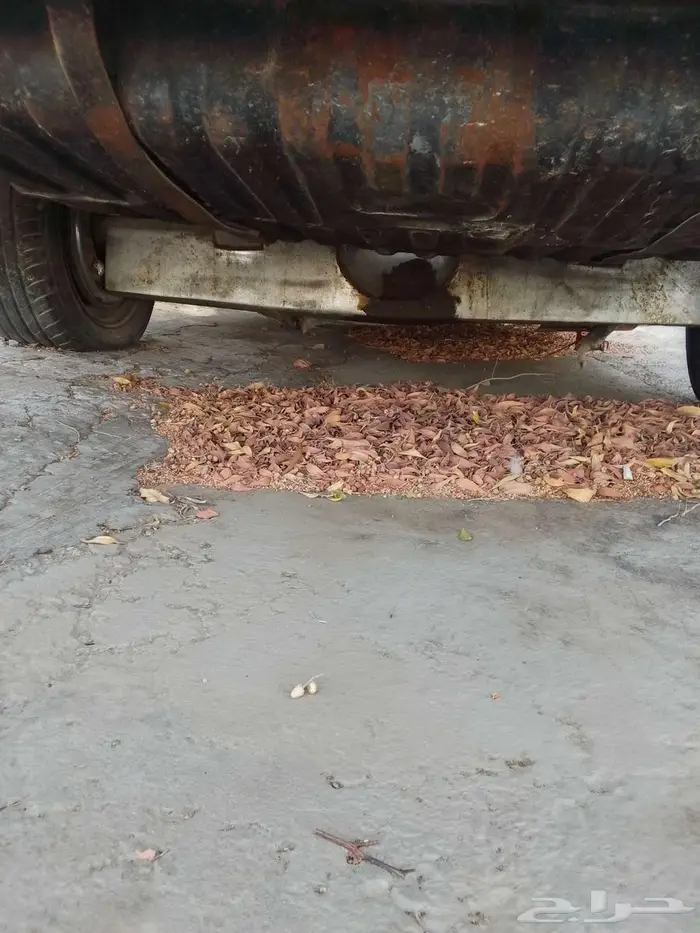 فورد ميركوري مونتنيري1961 24