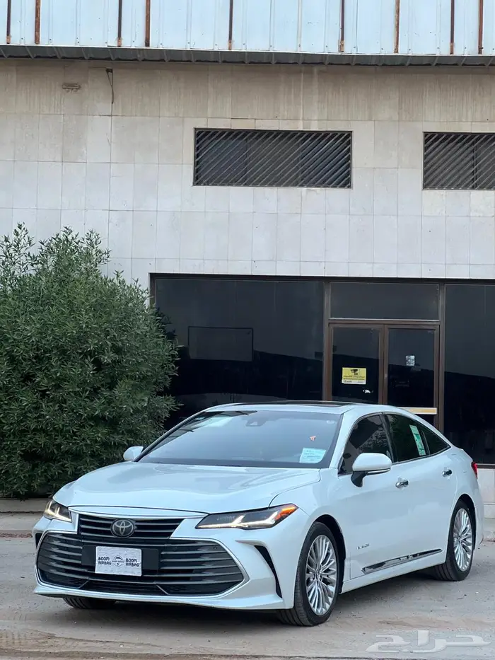 افلون 2019 بريميوم 2