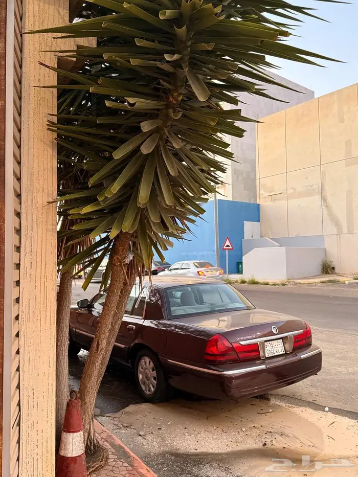 ماركيز 2003 سعودي مجدد بالكامل 3