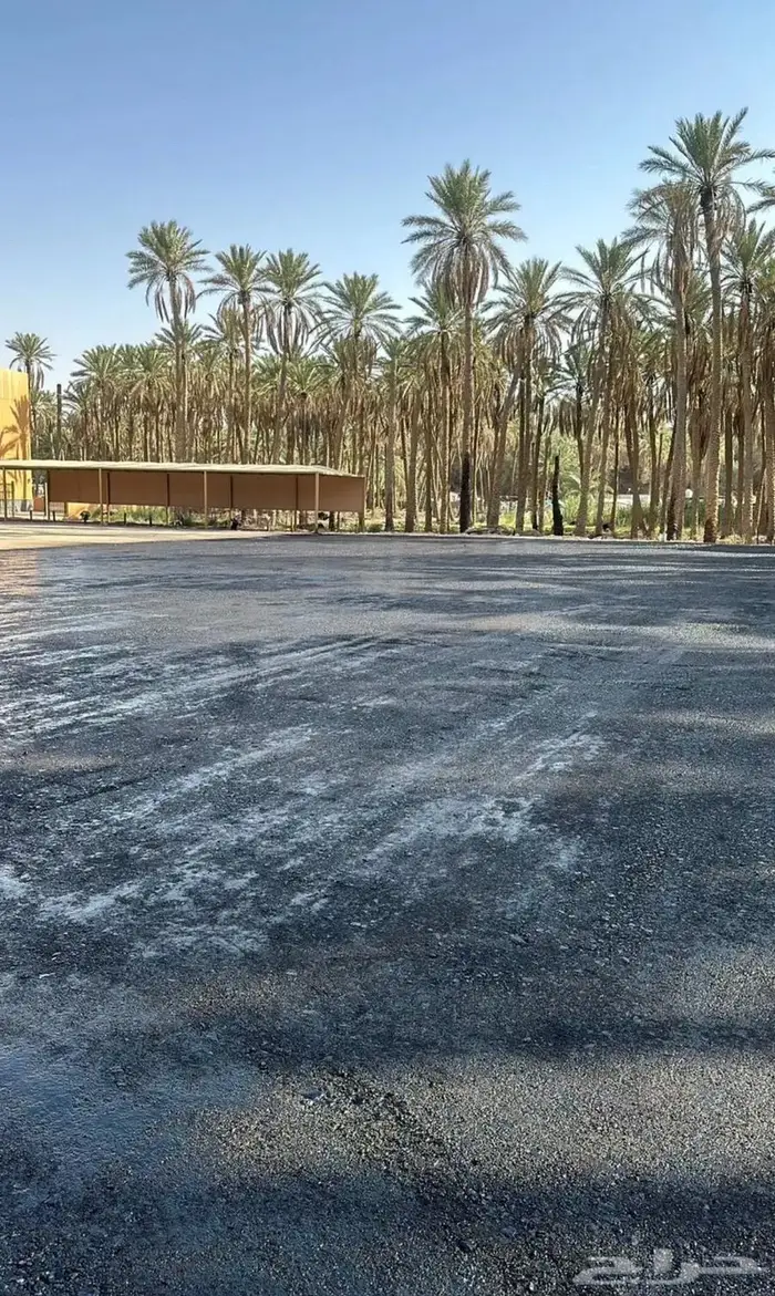 وايت مادة ام سي ون 3