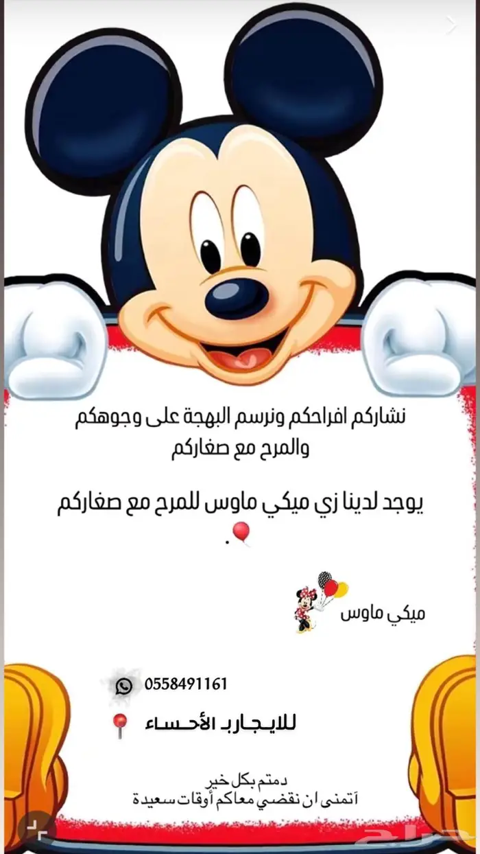 زي تنكري ميكي وميني ماوس للايجار 0