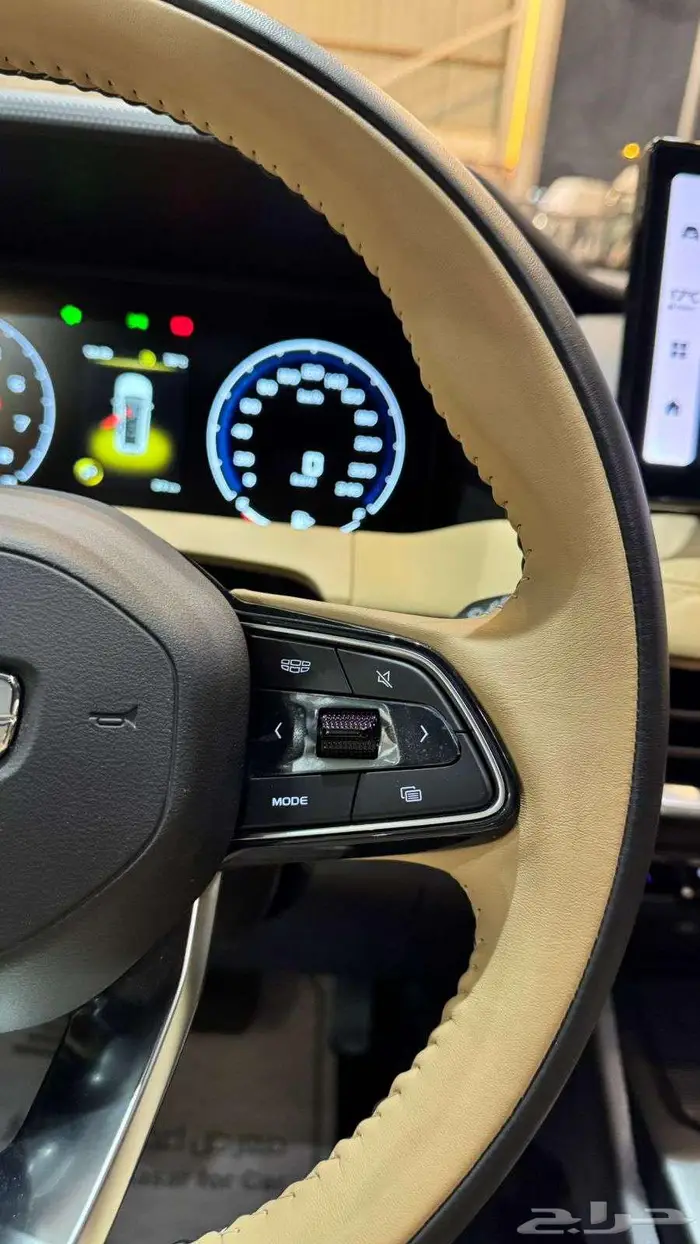 جيلي اوكافانجو 2025 كمفورت ضمان 7 سنوات وصيانه مجانيه 9