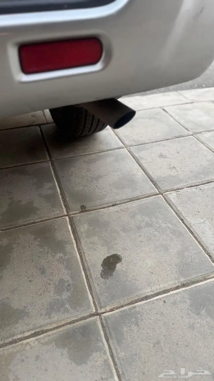 باثفاندر 2002 16