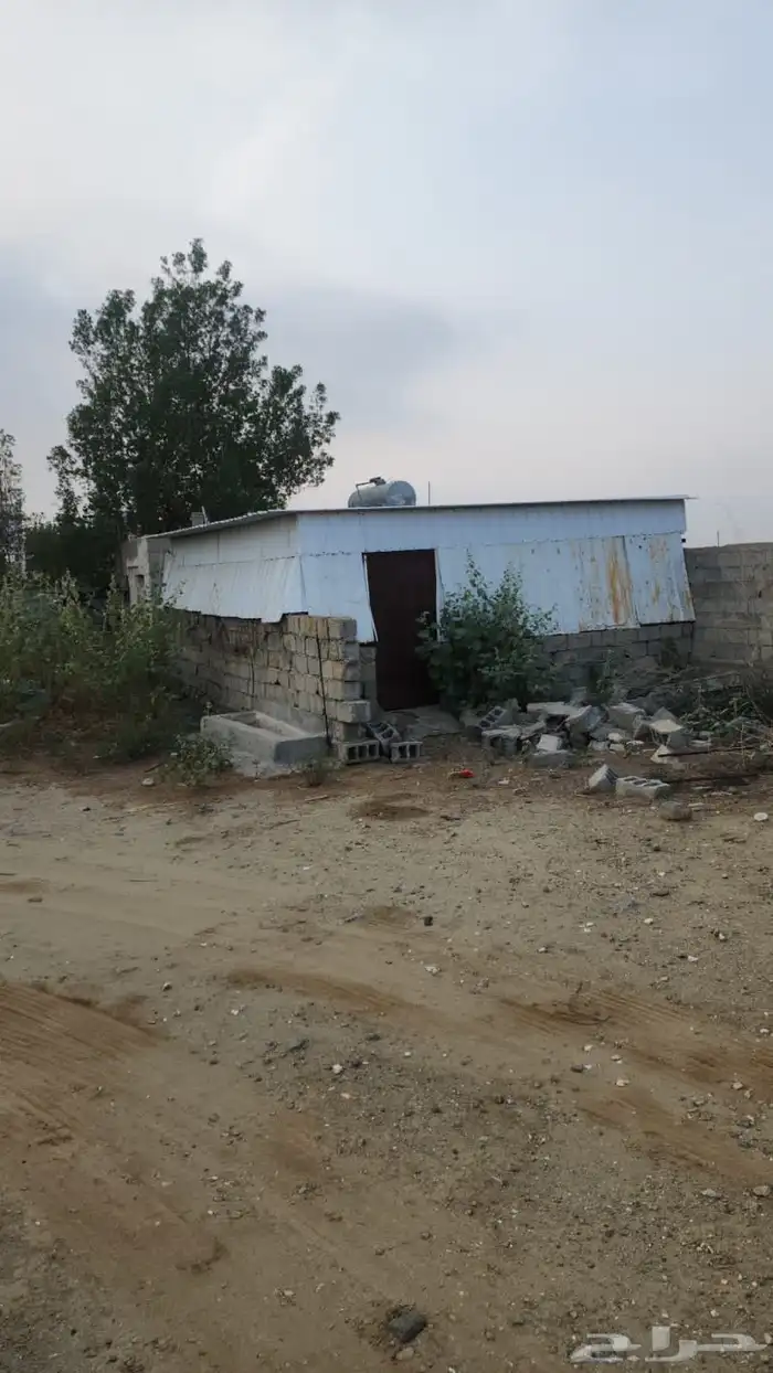 مزرعة للايجار 1