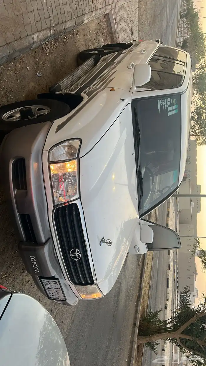 جيب صلون للبيع 4