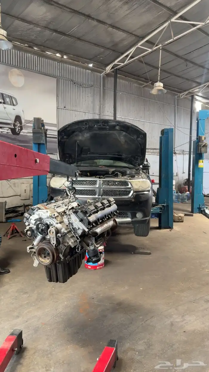 مكاين دوج جنسس شدبلد مستورد ضمان لمدة سنه 13