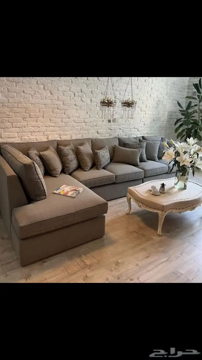 الرياض _الشفا 2