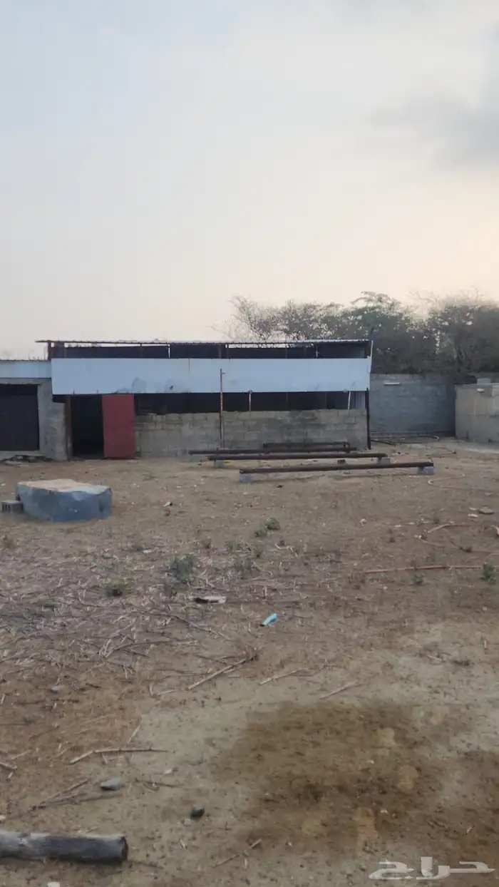 مزرعة للايجار 2