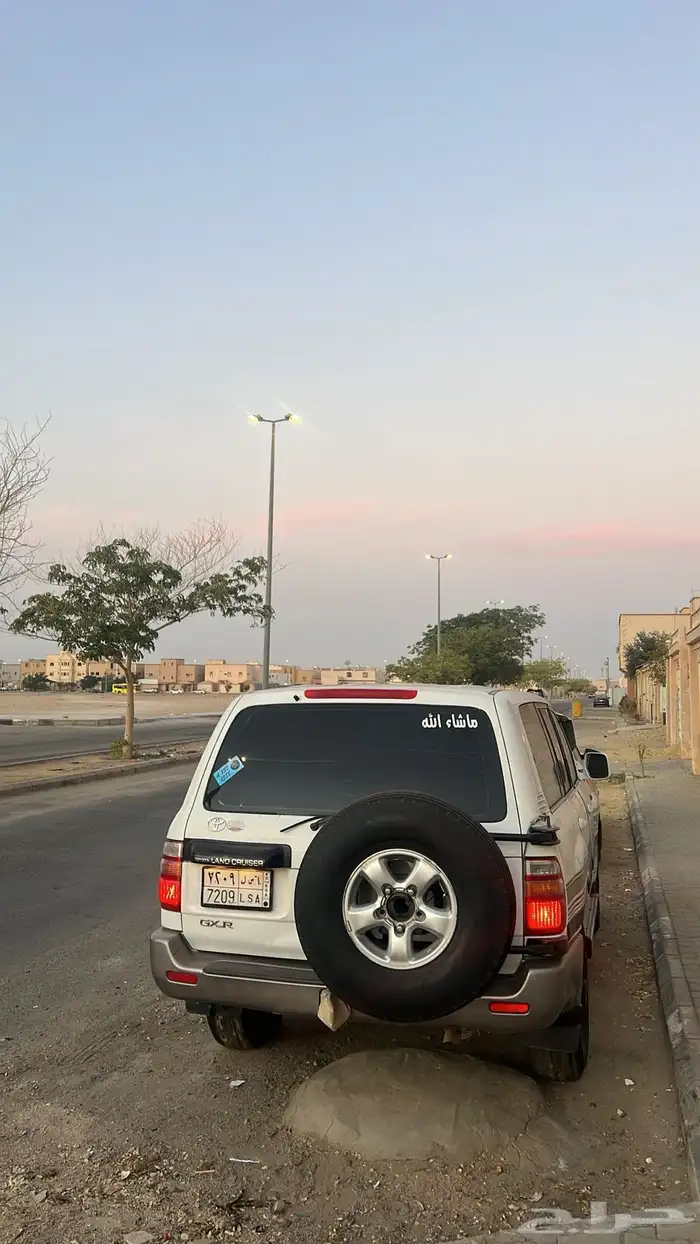 جيب صلون للبيع 2