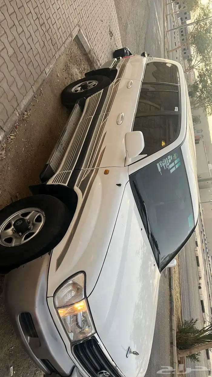 جيب صلون للبيع 3