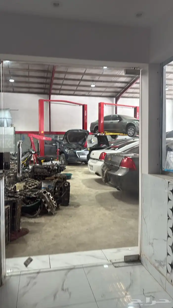 مكاين دوج جنسس شدبلد مستورد ضمان لمدة سنه 0