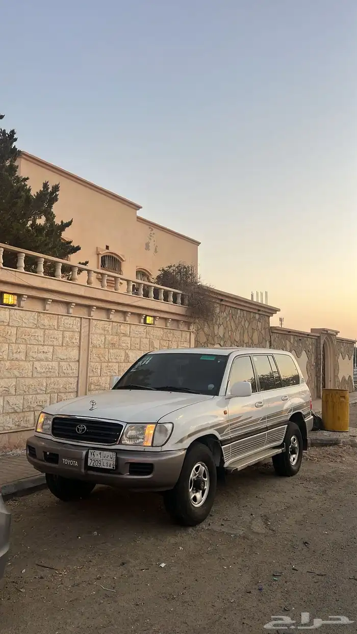 جيب صلون للبيع 0