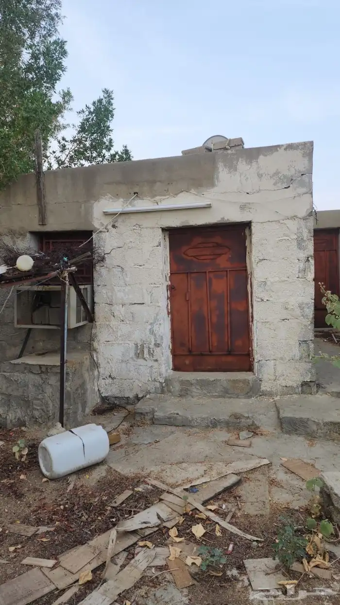 مزرعة للايجار 4