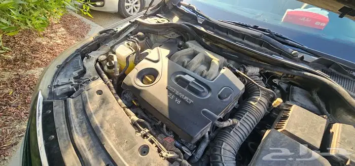 رينو سافران 2012 17