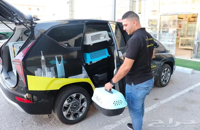 تشاو تشاو مستوردين FCI 6