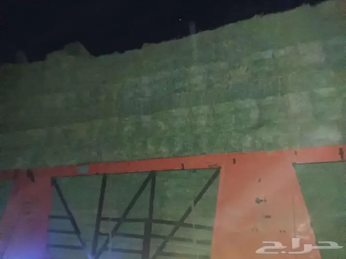 برسيم مشروع 0