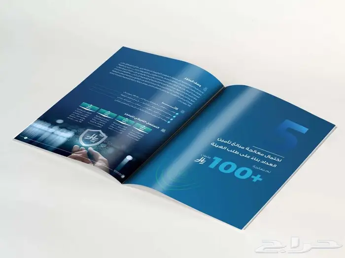 مصمم تقارير سنوية محترف 21