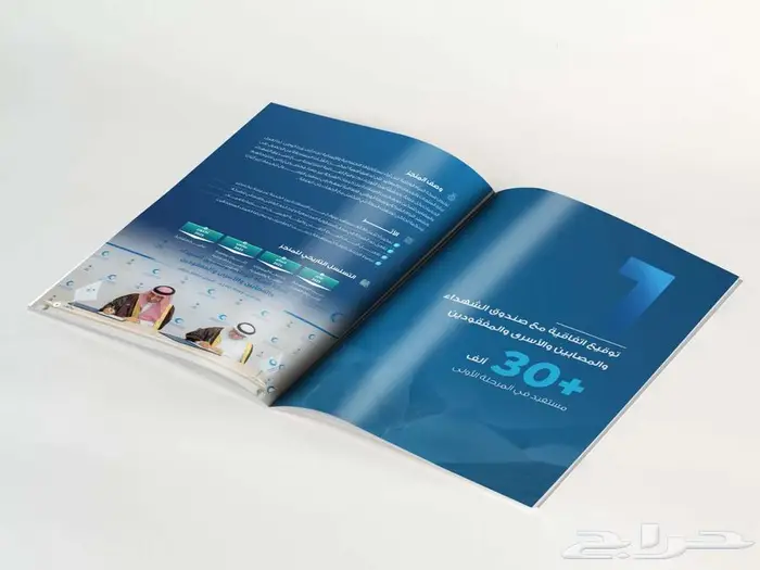 مصمم تقارير سنوية محترف 23