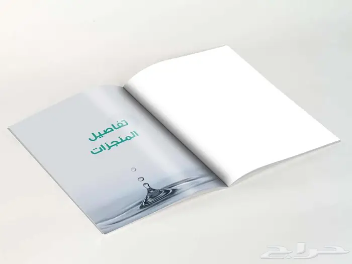 مصمم تقارير سنوية محترف 27