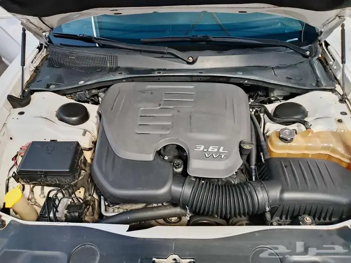 المدينه المنوره 7