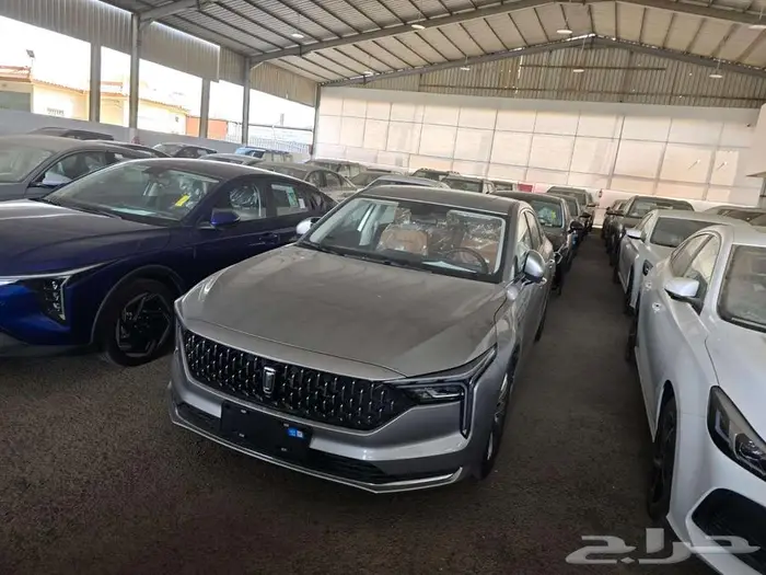 فاو بيستون B70 كمفورت 2026 12