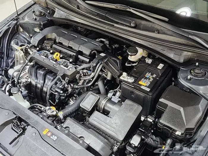 النترا) أفانتي   2024 5