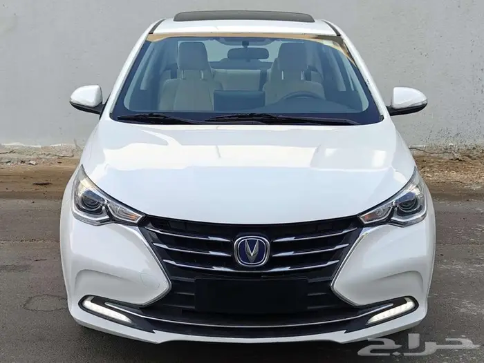 شانجان السفن 2025 فل كامل 0