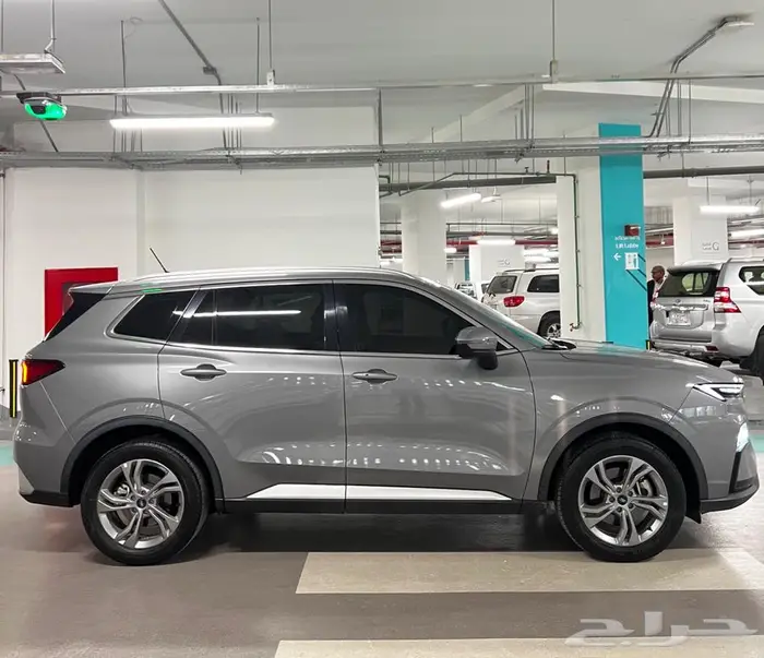 تيريتوري 2024 فئه الترند 4