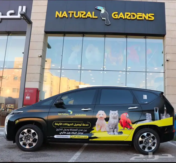 تشاو تشاو مستوردين FCI 4