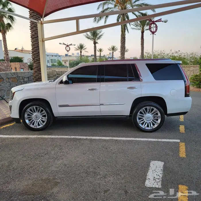 كاديلك اسكاليد بلاتينيوم 2020 فل كامل بحاله ممتازه 5