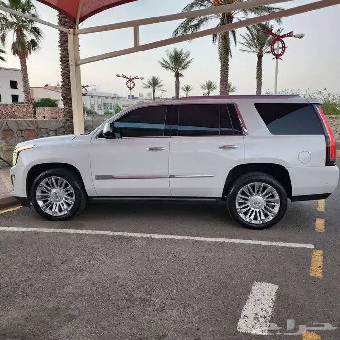 كاديلك اسكاليد بلاتينيوم 2020 فل كامل بحاله ممتازه 2