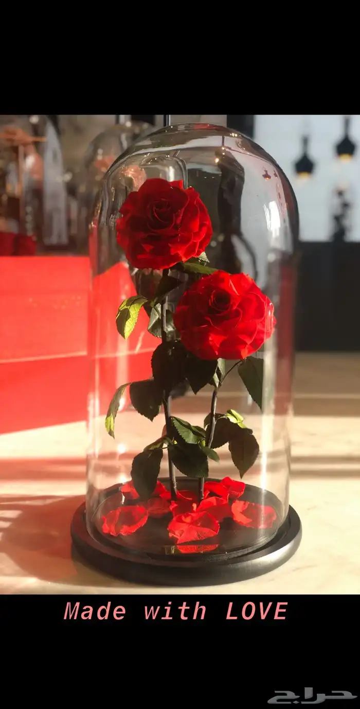 تقبيل محل ورد 3