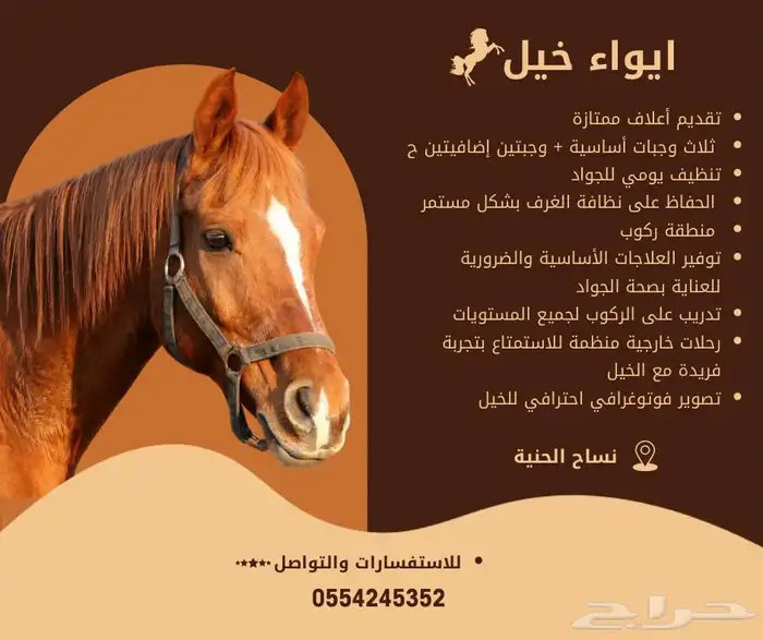 ايواء وتصوير خيول 0