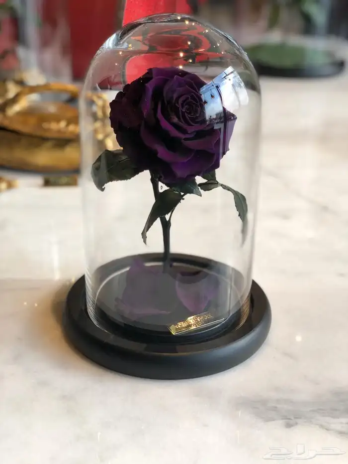 تقبيل محل ورد 16